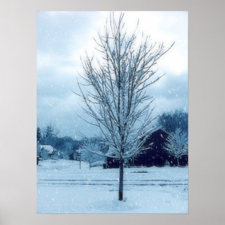 Poster Neige hivernale