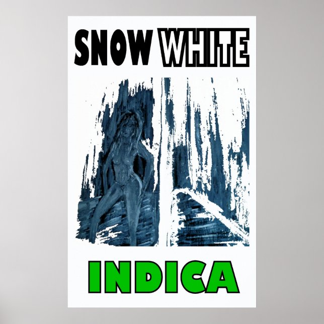 POSTER NEIGE INDIQUE BLANC (Devant)