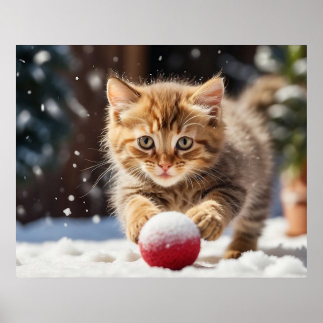Poster *~* Neige Jouer Ball Kitty 5:4 Kitten Cat AP68 (Devant)