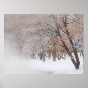Poster Neige   Lac Kussharo