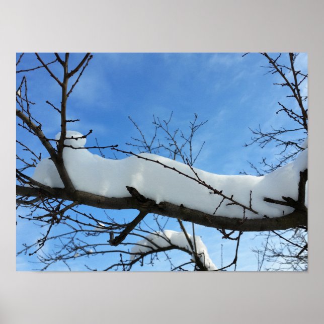 Poster Neige sur branches (Devant)