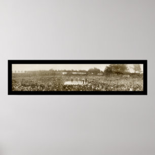 Poster Nelson Britt Boxing Photo 1905