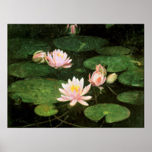Poster Nénuphar, peinture d'art par Abbott Thayer