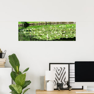Poster Nénuphars de l'eau du Tiergarten