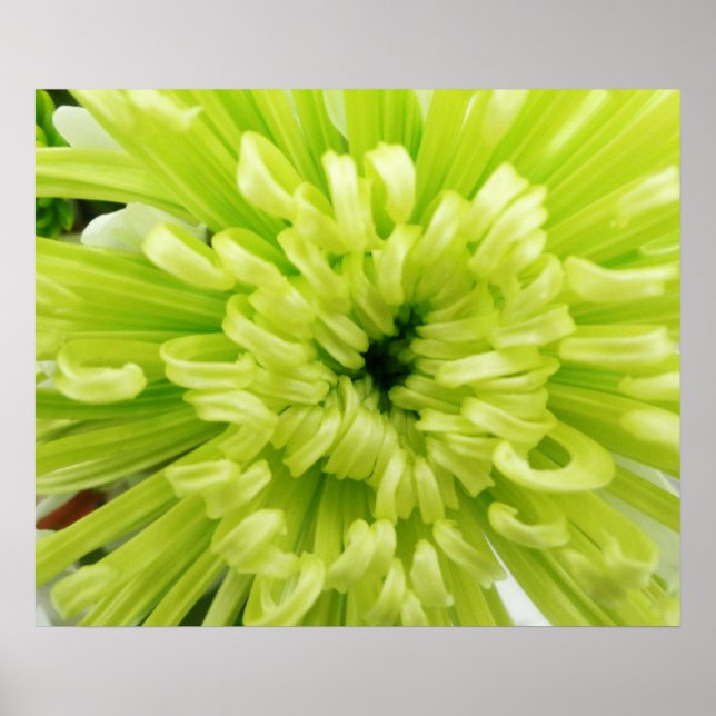 Poster Neon Green Flower Football Mum Gros plan Arrière - (Devant)