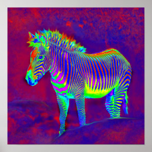 Poster neon zebra