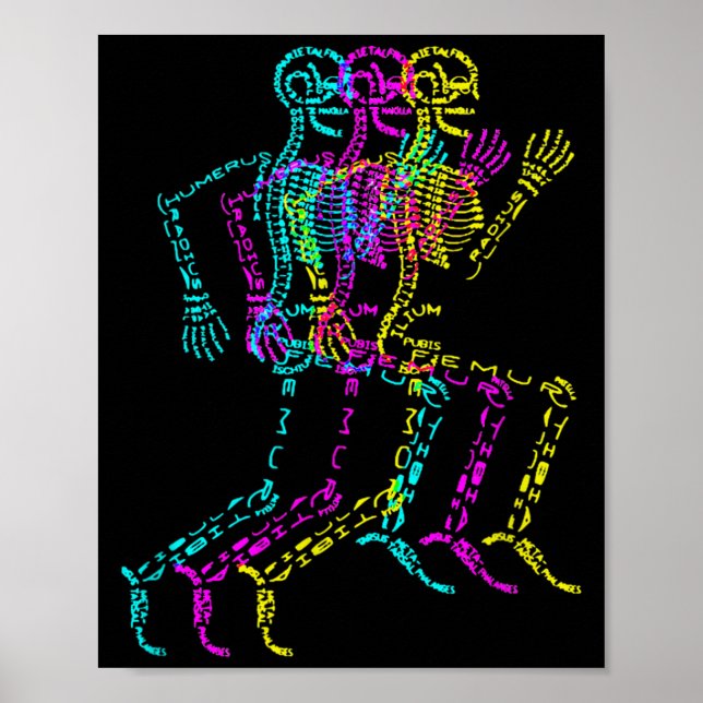 Poster Nerdy Skeleton Bones Labeled Funny Halloween Human (Devant)