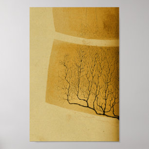 Poster Nerfs vintages du système nerveux central 1886