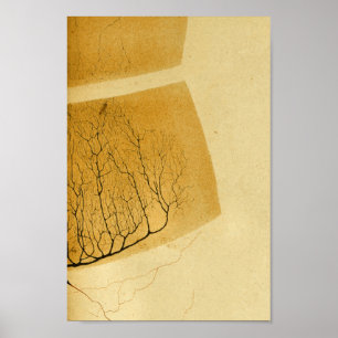 Poster Nerfs vintages du système nerveux central 1886