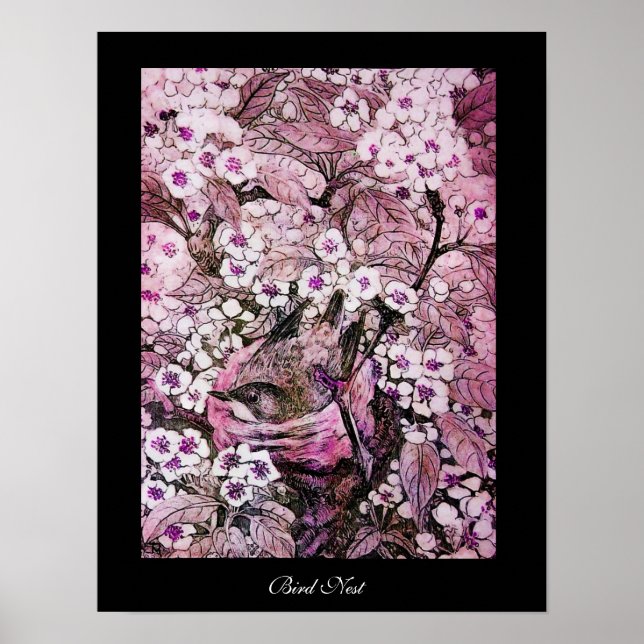 POSTER NEST D'OISEAU, ARBRE ROSE BLANC FLEURS DE PRINTEMP (Devant)