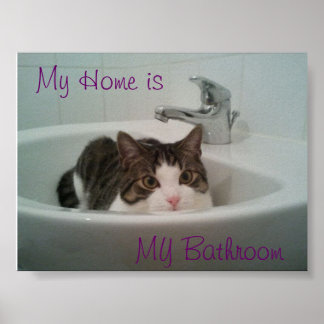 Poster Nettoyer le chat