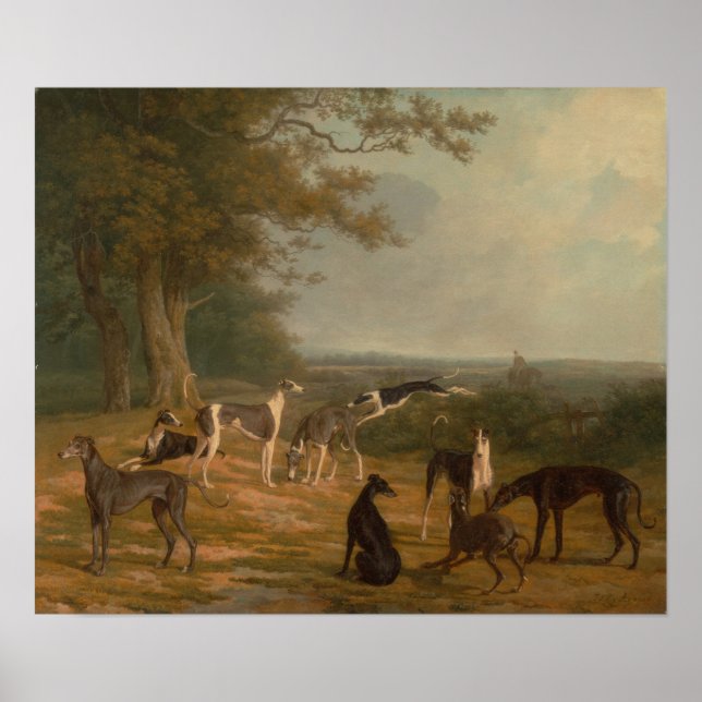 Poster Neuf Greyhounds dans un paysage (Devant)