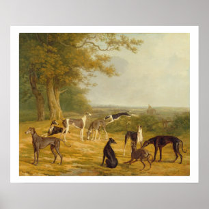Poster Neuf Greyhounds dans un paysage (huile sur toile)