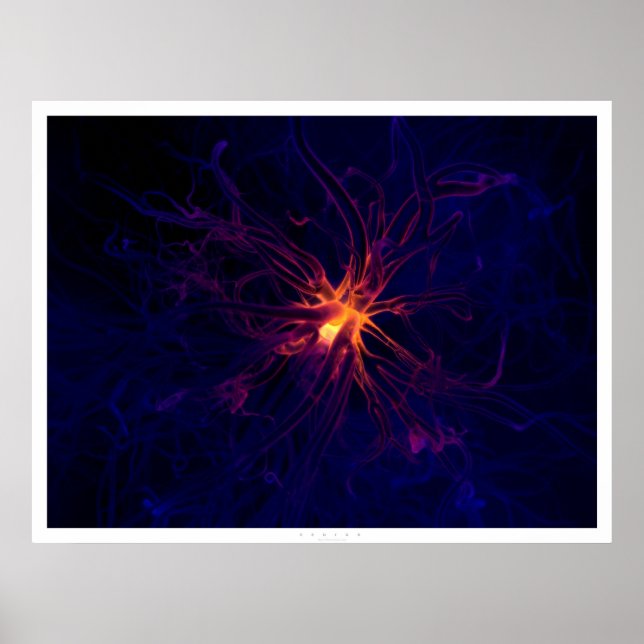 Poster Neuron (Devant)