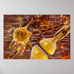Poster Neuron