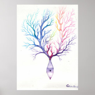 Poster neurone Purkinke coloré