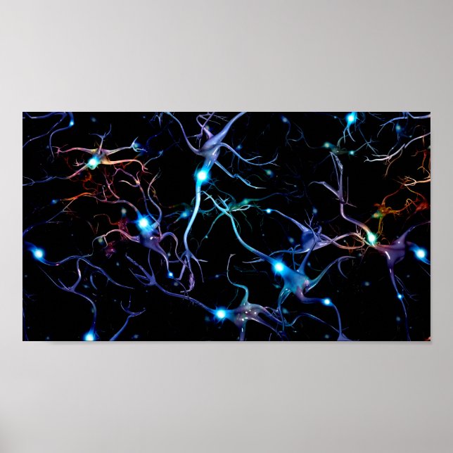 Poster Neurones (Devant)