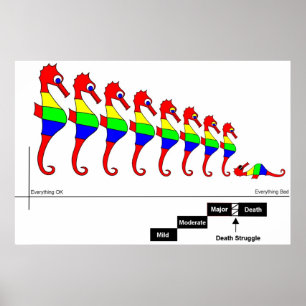 Poster Neuroplasticité