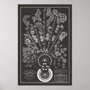 Poster New York & Erie Railroad Org - Foncé - Contour
