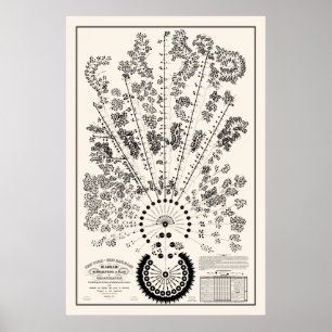 Poster New York & Erie Railroad Org - Léger - Contour