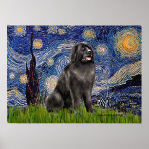 Poster Newfie 2 - Nuit étoilée