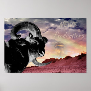 Poster Newk