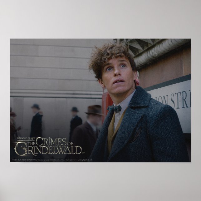 Poster NEWT SCAMANDER™ À Londres Photo (Devant)