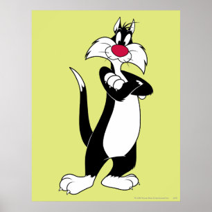 Poster Nez rouge SYLVESTER™