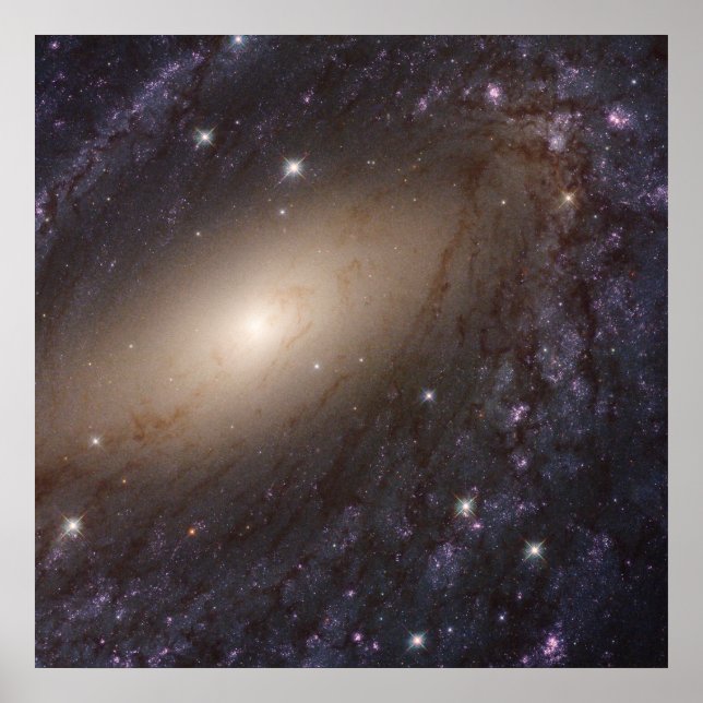 Poster Ngc 6744, 30 Millions D'Années-Lumières. (Devant)