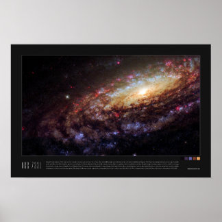 Poster NGC 7331 (Caldwell 30)