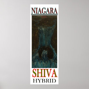 POSTER NIAGARA SHIVA HYBRID