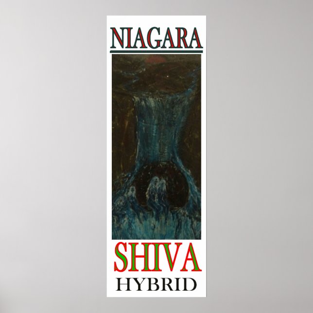 POSTER NIAGARA SHIVA HYBRID (Devant)