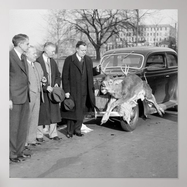 Poster Nice Rack, 1938 (Devant)