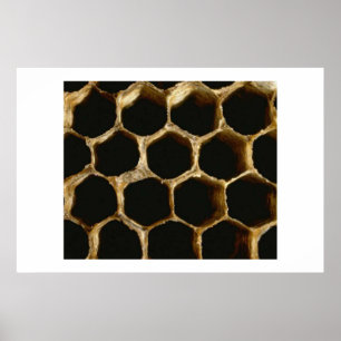 Poster Nid d'abeilles