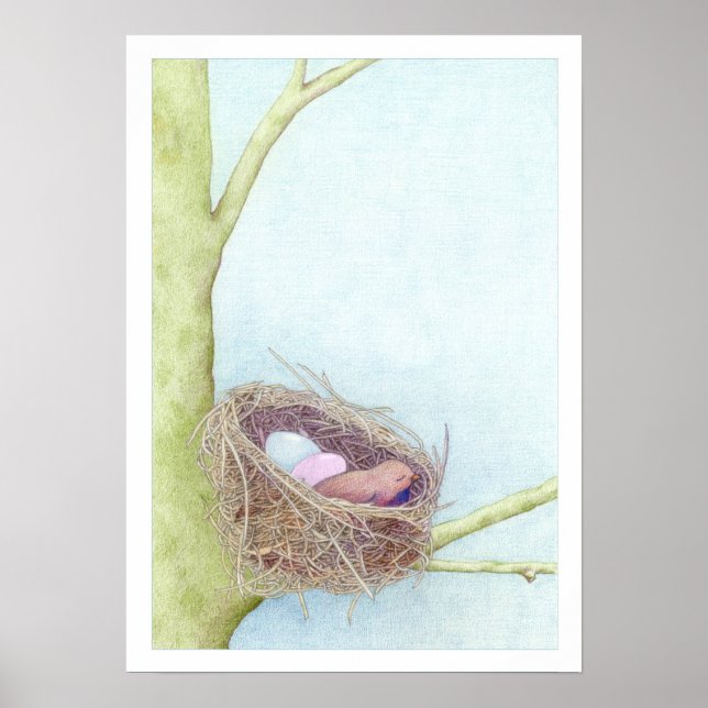 Poster Nid d'oiseaux (Devant)