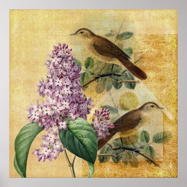 Poster Nightingales avec Lilac (Devant)