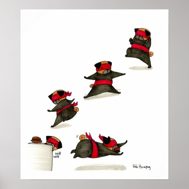 Poster Ninja Carlin Snack Attaque ! (Devant)