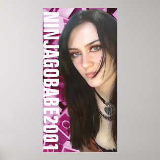 POSTER NINJAGOBABE2001