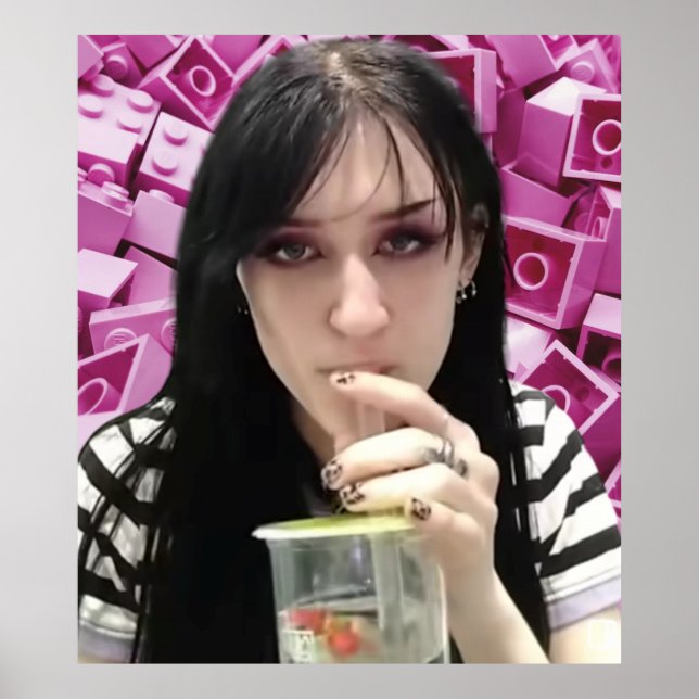 Poster Ninjagobabe2001 (Devant)