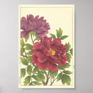 Poster Nishimura Hodo Pivoine Fleurs Japonaises Beaux-Art