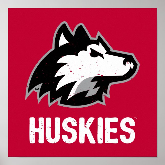 Poster NIU Huskies en détresse (Devant)