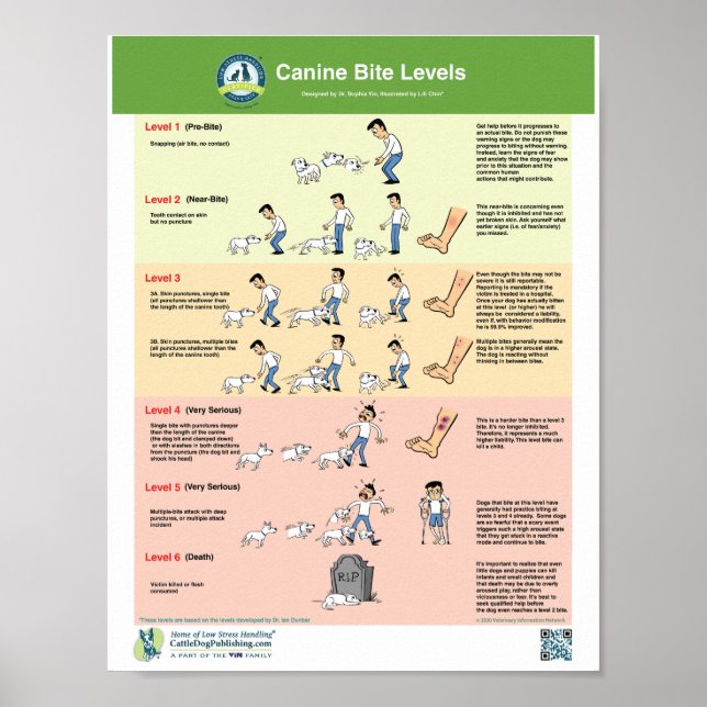 Poster Niveaux De Bite Canine (Devant)