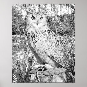 Poster Niveaux de gris Coloration Chouette Arbres Nature 