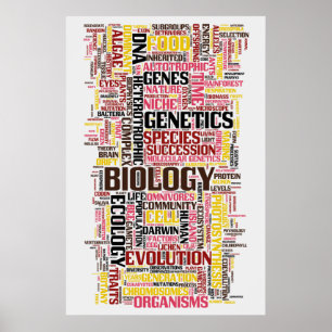 Poster No. 11 de Wordle de biologie