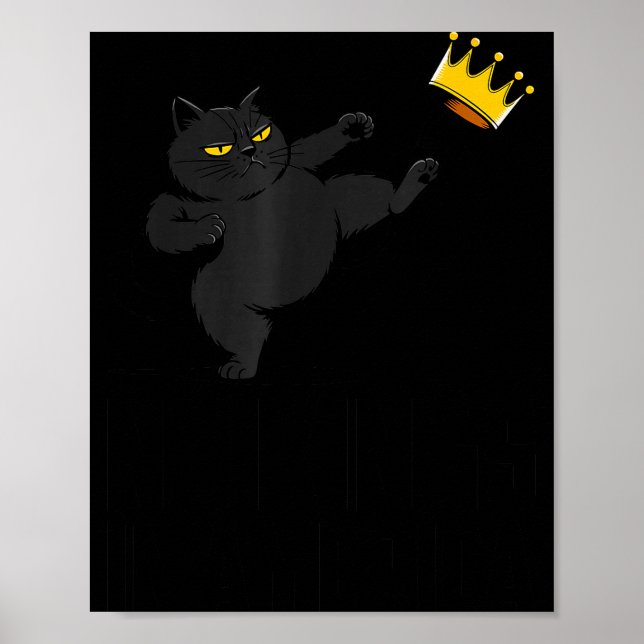 Poster No Kings In America Black Cat Funny Litical Meme 4 (Devant)