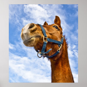 Poster no ride today