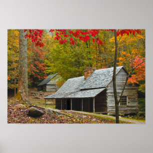 Poster Noah "Bud" Ogle Cabine dans les Smokies