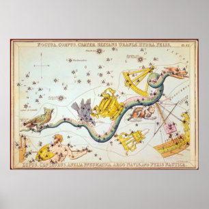 Poster Noctua, Corvus, Cratère, etc.