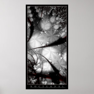 Poster Nocturne