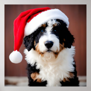 Poster Noël Bernedoodle